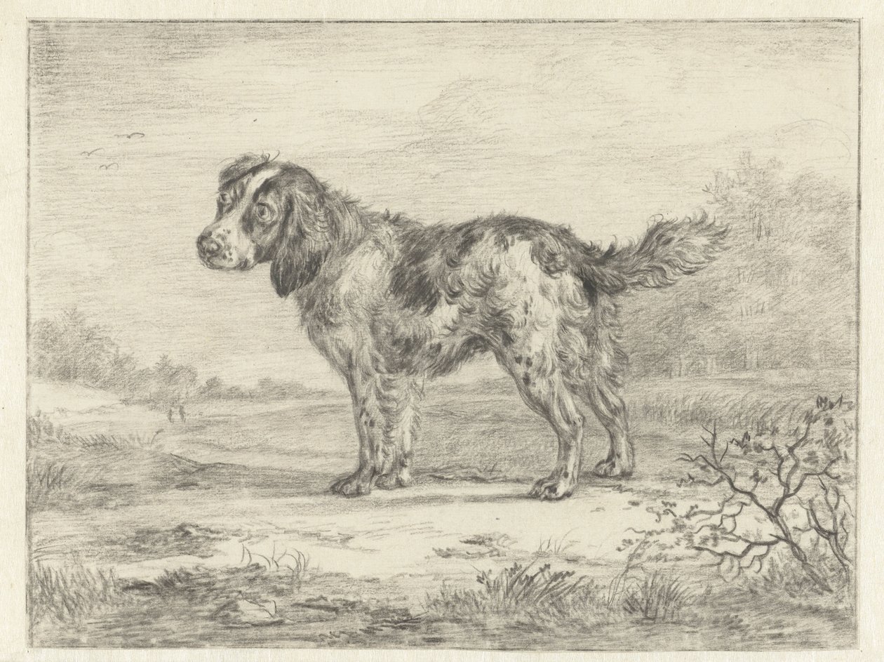 Spaniel stojący w krajobrazie autorstwa Jan Dasveldt