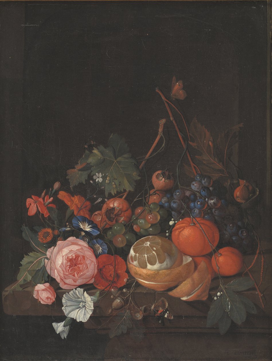 Kwiaty i owoce autorstwa Jan Davidsz de Heem