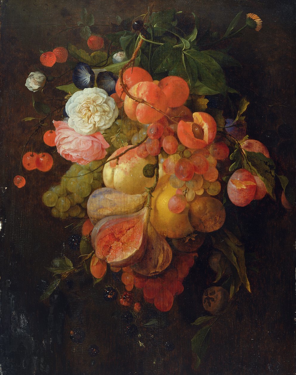 Owoce i Kwiaty autorstwa Jan Davidsz de Heem