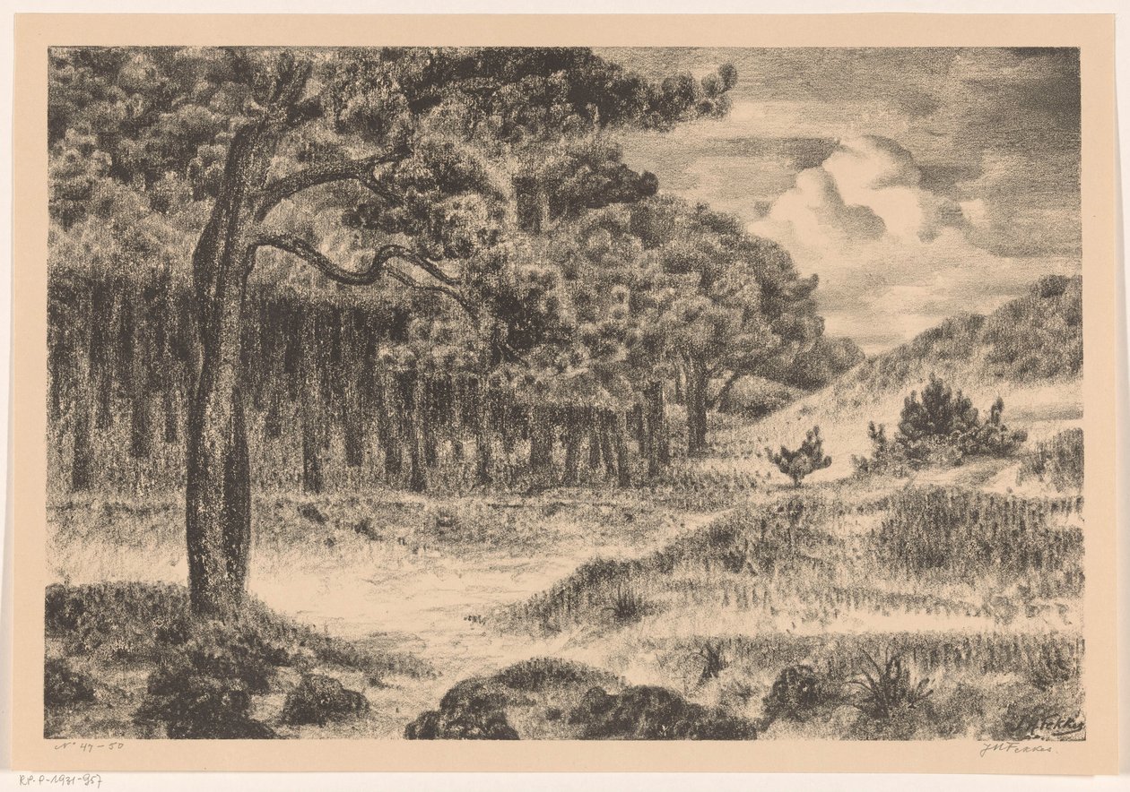 Las w pagórkowatym krajobrazie autorstwa Jan Fekkes (signed by artist)