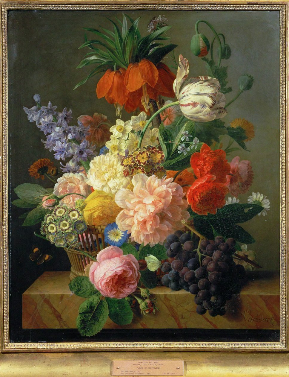 Kwiaty i owoce ... (obraz na płótnie) autorstwa Jan Frans van Dael