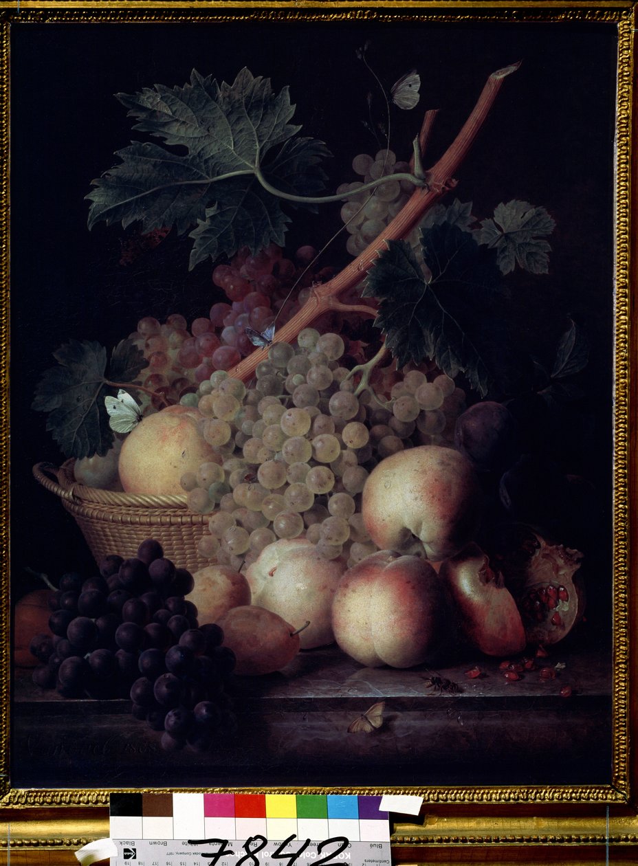 ""Owoce"" Martwa natura z brzoskwiniami, winogronami, gruszkami i granatami z motylami i osą. Obraz Jean Francois van Dael (1764-1840) 1808 Muzeum Puszkina, Moskwa autorstwa Jan Frans van Dael