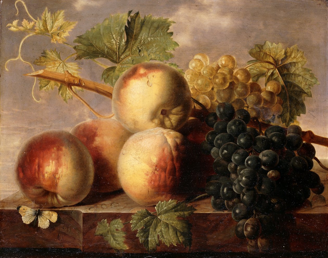 Brzoskwinie i Winogrona z Białą Kapustą na Marmurowym Półce, autorstwa Jan Frans van Dael