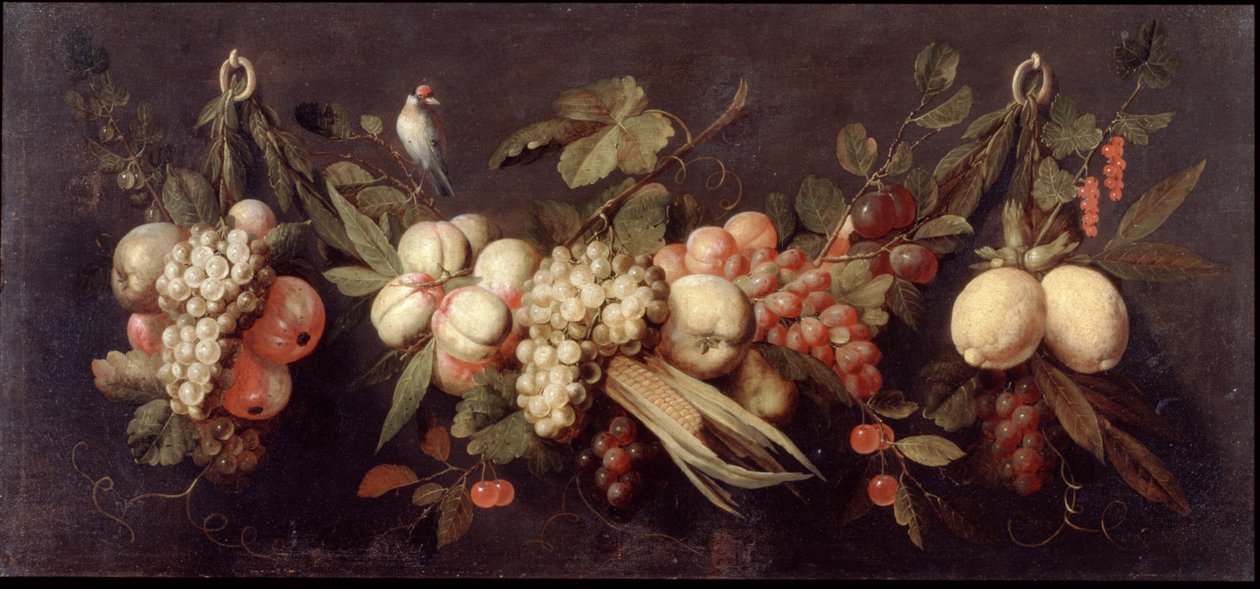 Martwa natura z owocami i ptakiem autorstwa Jan Frans van Son