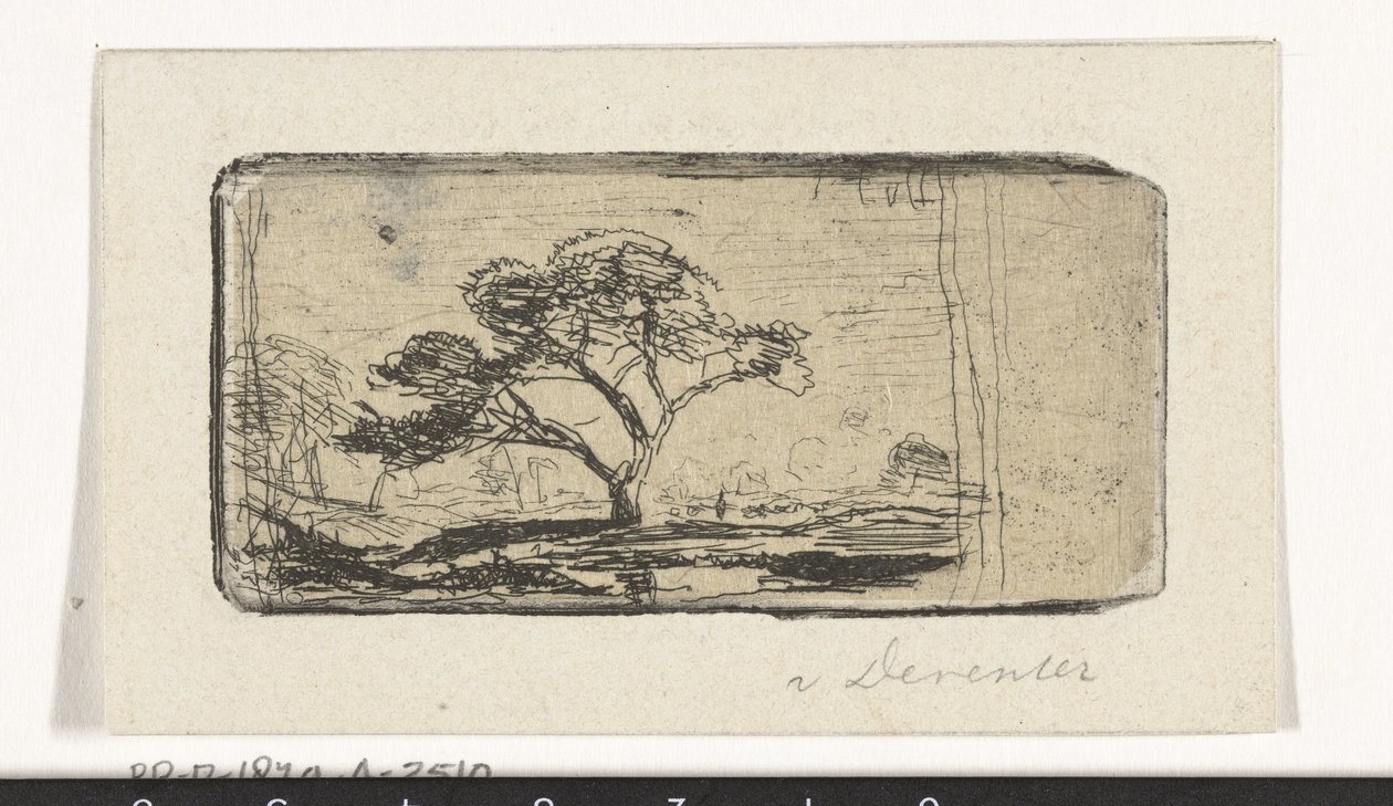 Krajobraz z drzewem autorstwa Jan Frederik van Deventer