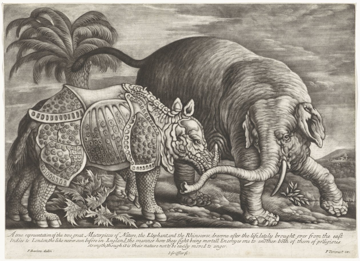 Olifant en neushoorn Prawdziwe przedstawienie dwóch wielkich arcydzieł natury, słonia i nosorożca (tytuł na obiekcie) autorstwa Jan Griffier (I)