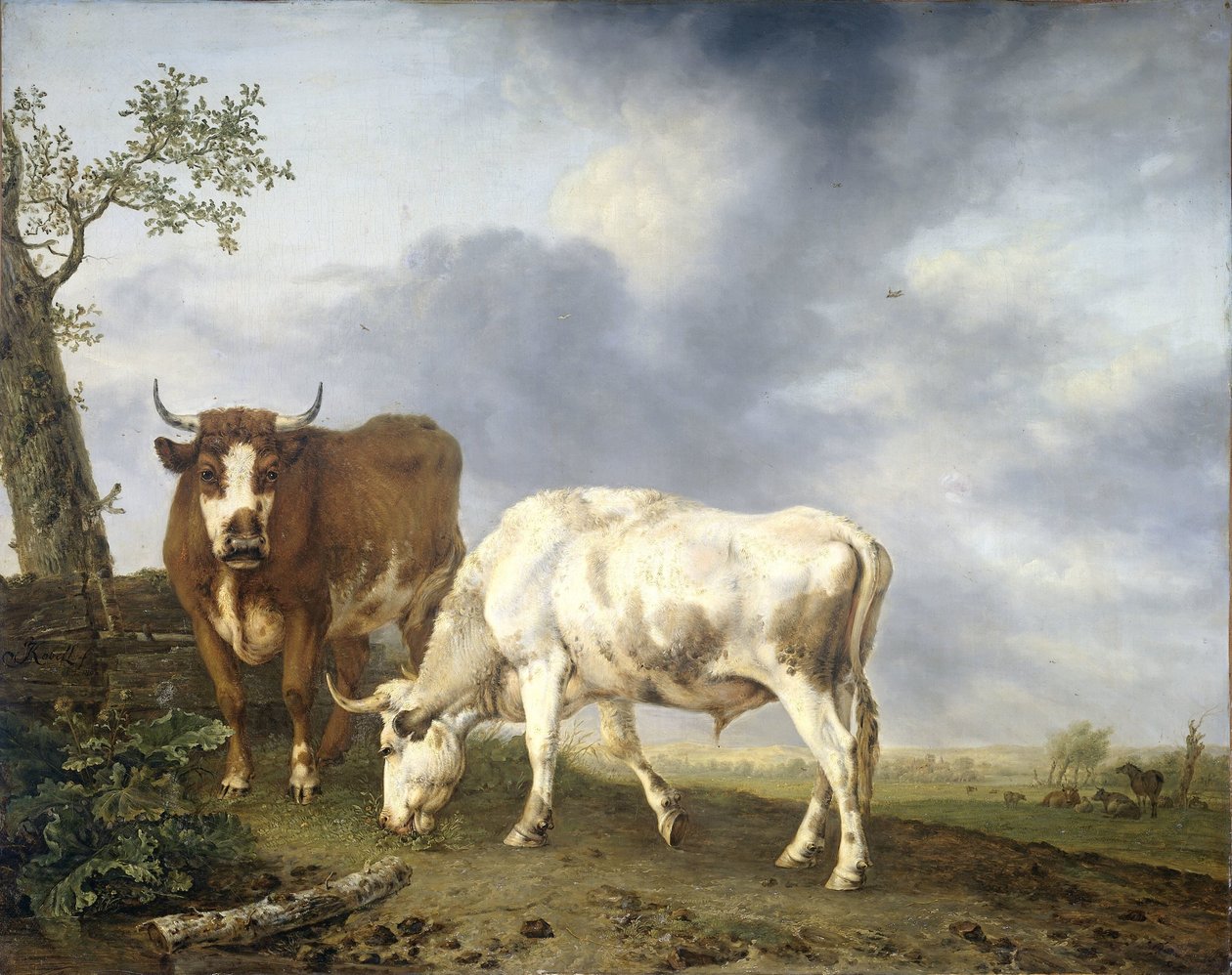 Woły na łące autorstwa Jan Kobell (II)