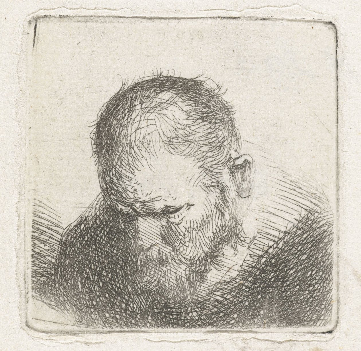 mężczyzna z brodą autorstwa Jan Lievens (possibly)
