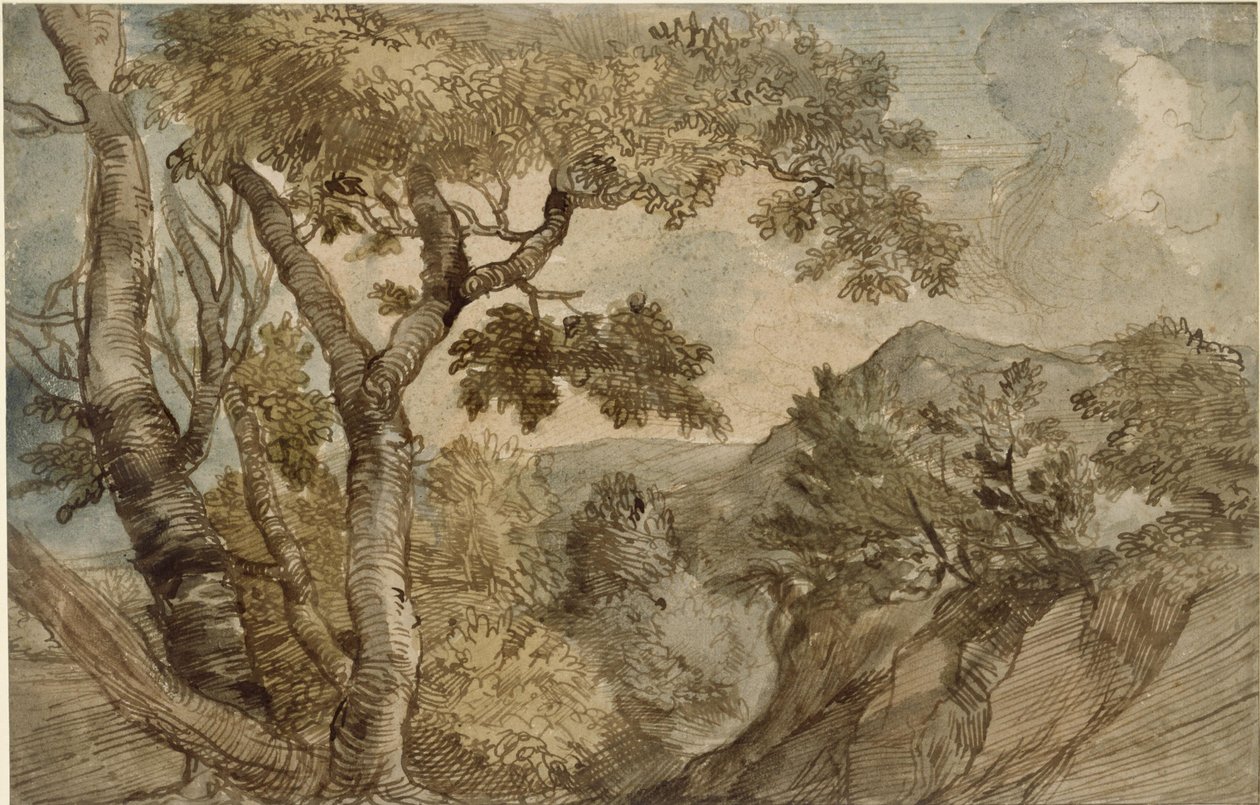 Górzysty krajobraz z grupą drzew autorstwa Jan Lievens