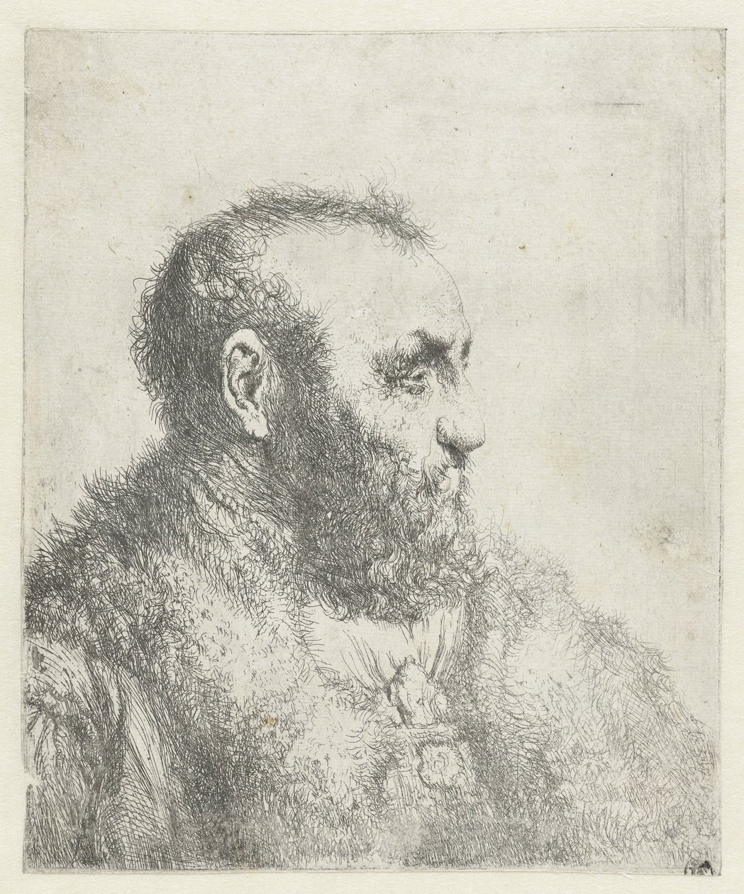 Popiersie starca w futrze autorstwa Jan Lievens