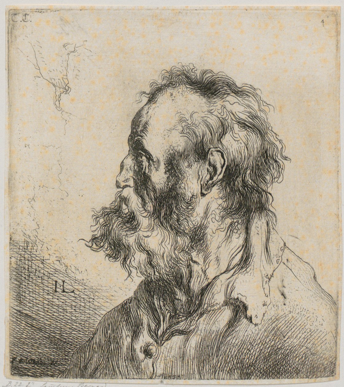 Portret piersiowy brodatego starca autorstwa Jan Lievens