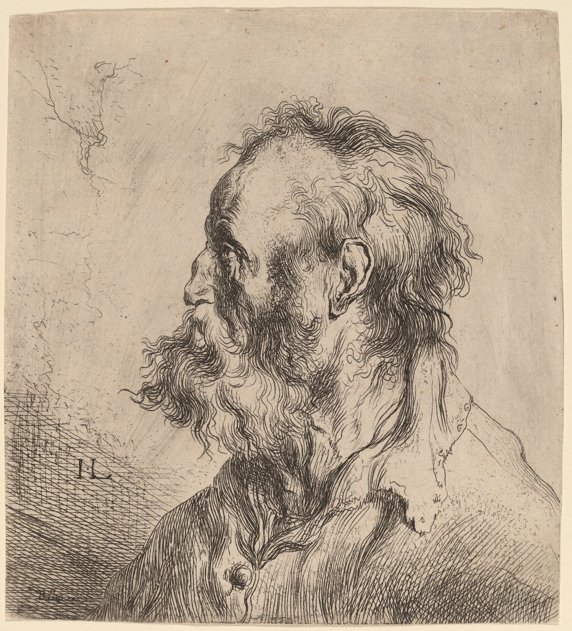 Popiersie brodatego starca autorstwa Jan Lievens
