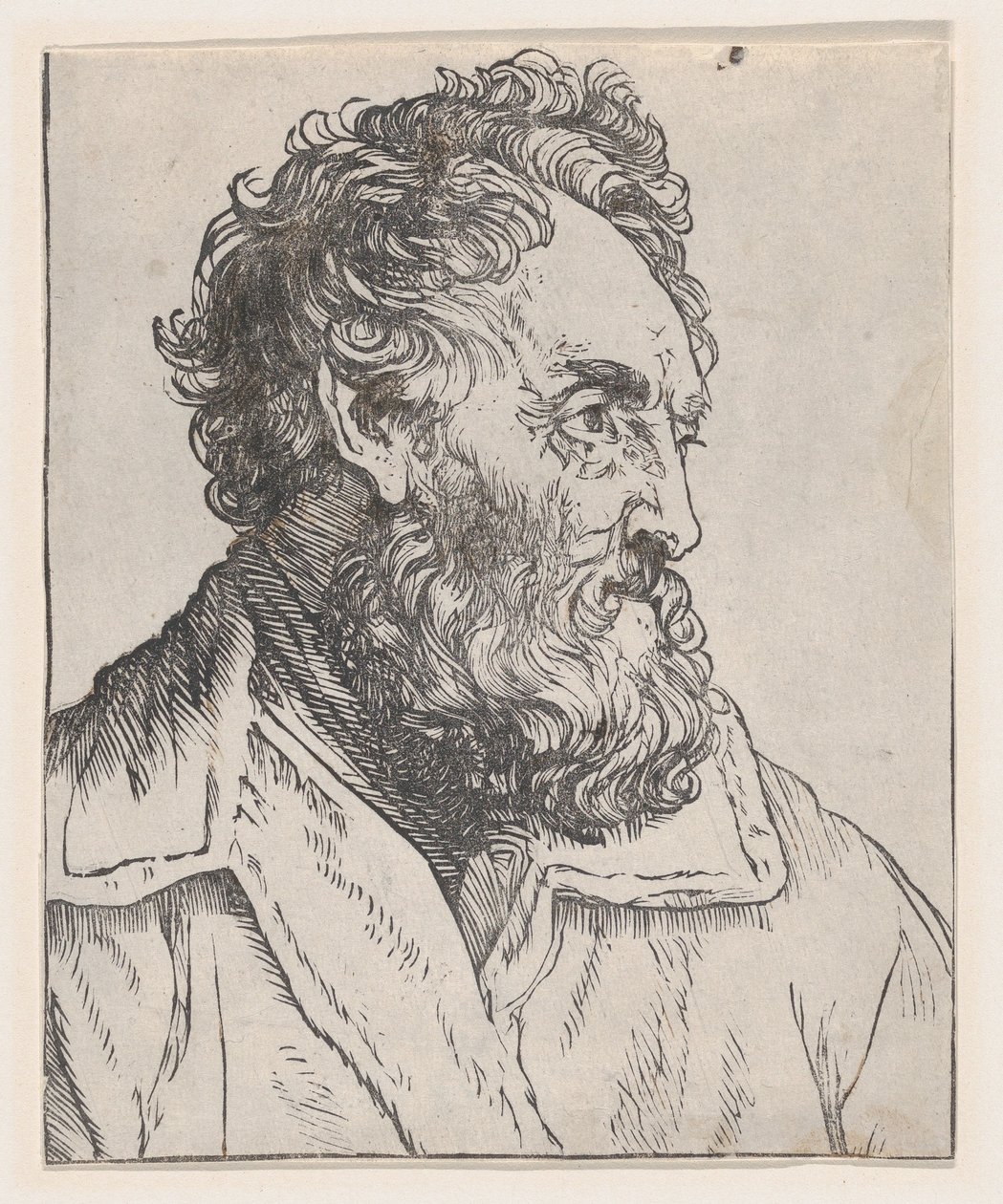 Głowa mężczyzny, XVII wiek. autorstwa Jan Lievens
