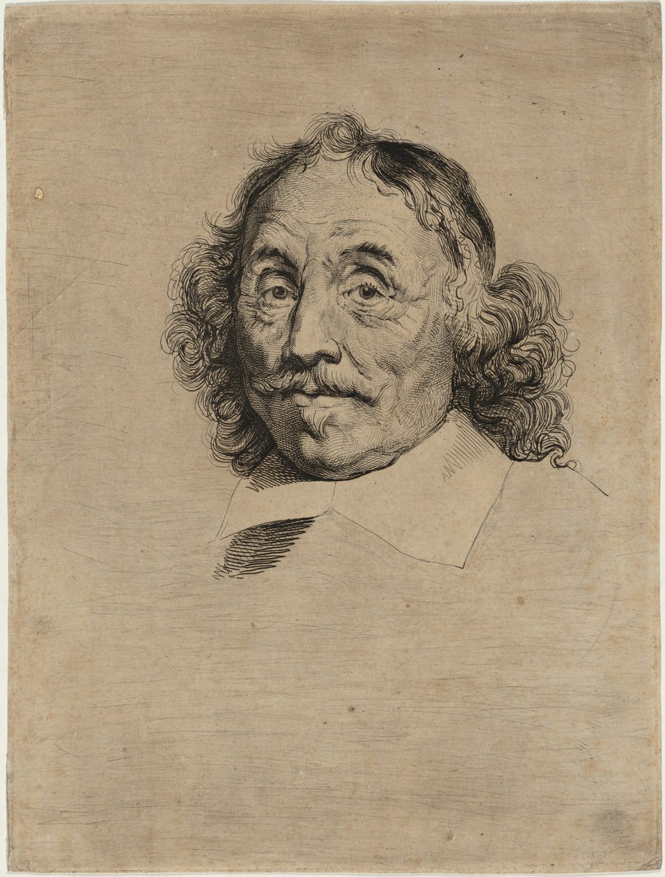 Martin Harpertzoon Tromp autorstwa Jan Lievens