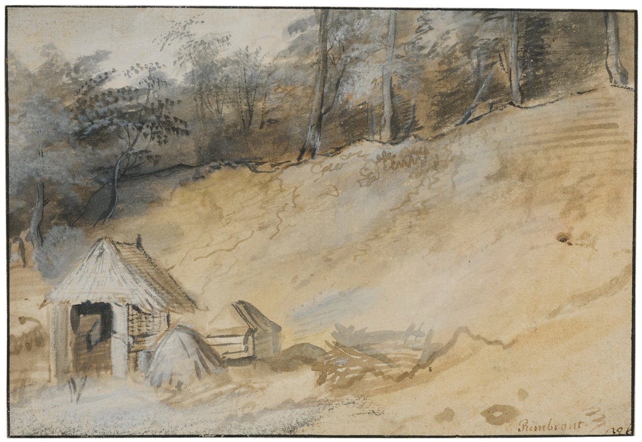 Piaszczyste zbocze z chatą autorstwa Jan Lievens