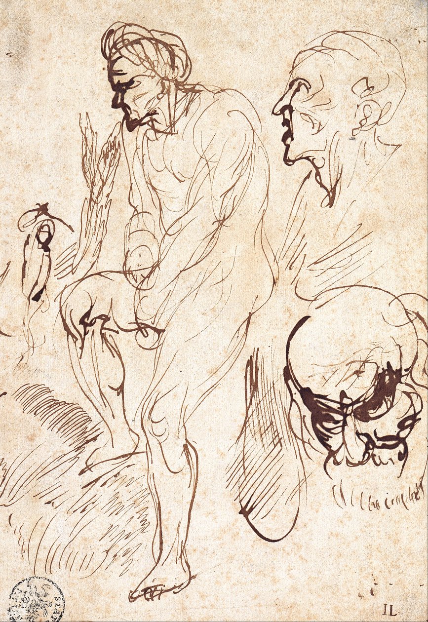 Badania po modelu autorstwa Jan Lievens