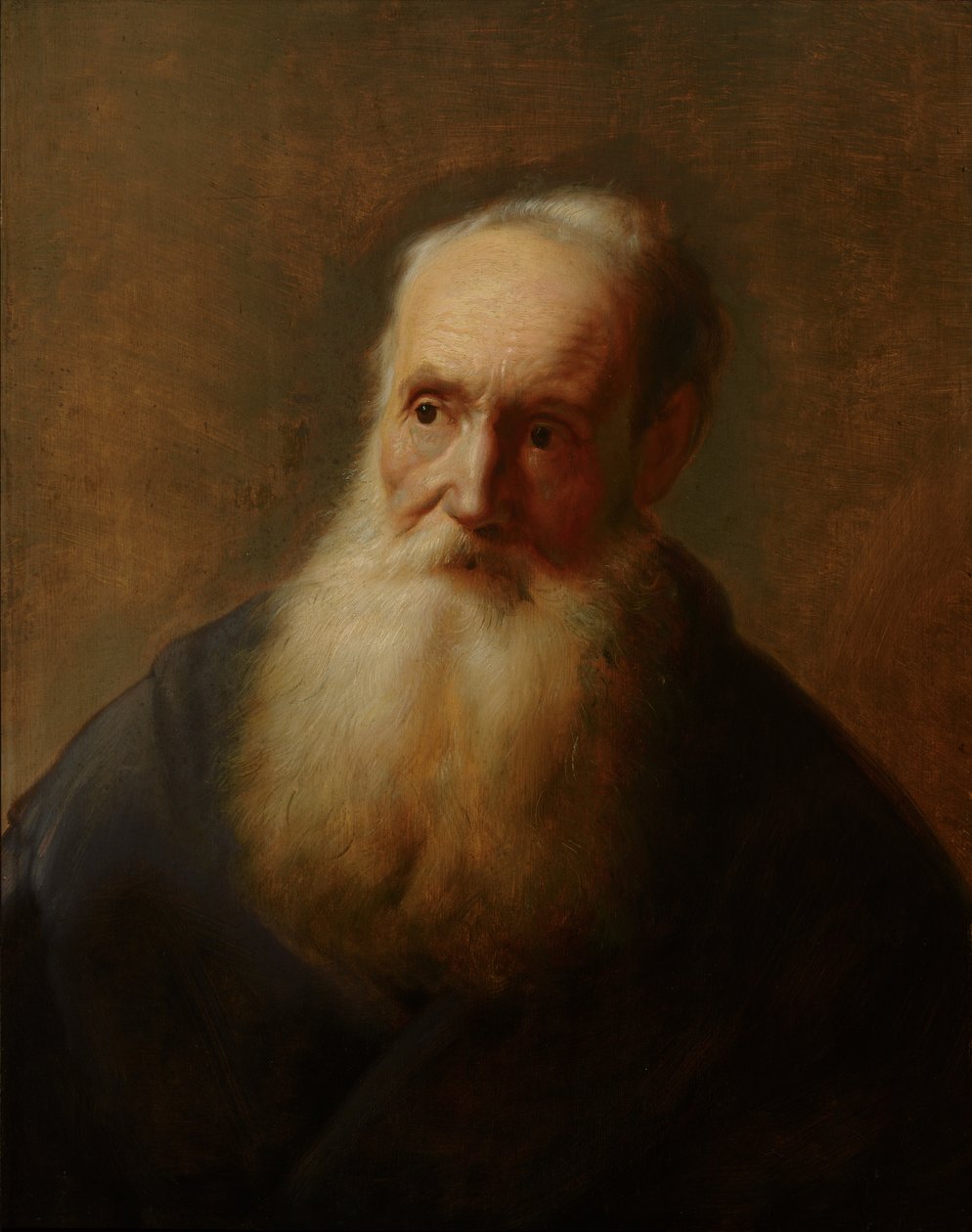 Tronie starego mężczyzny autorstwa Jan Lievens