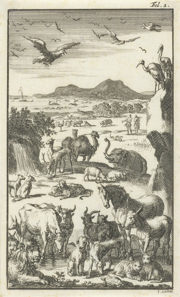 Stworzenie autorstwa Jan Luyken