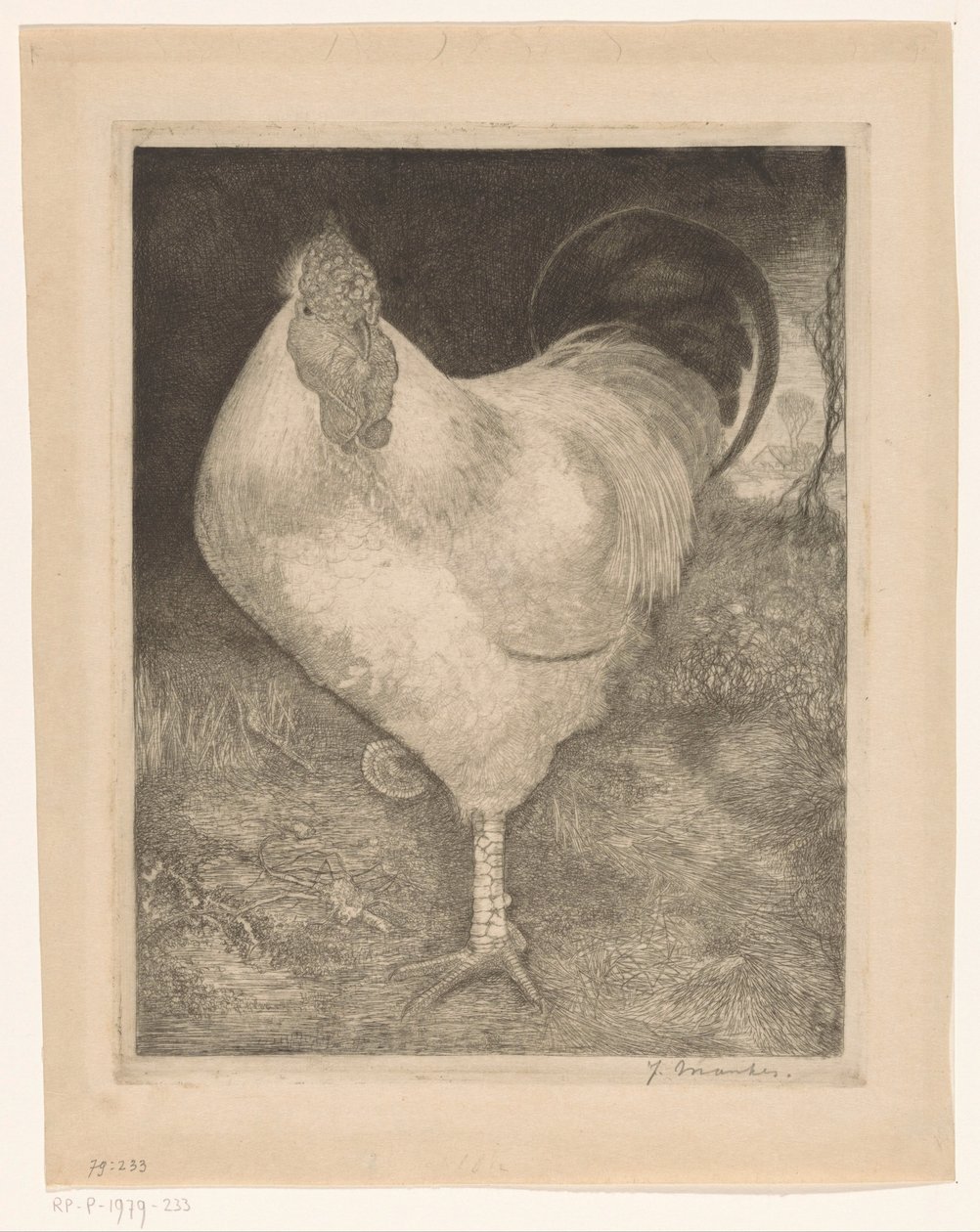 Kogut na jednej nodze autorstwa Jan Mankes (signed by artist)