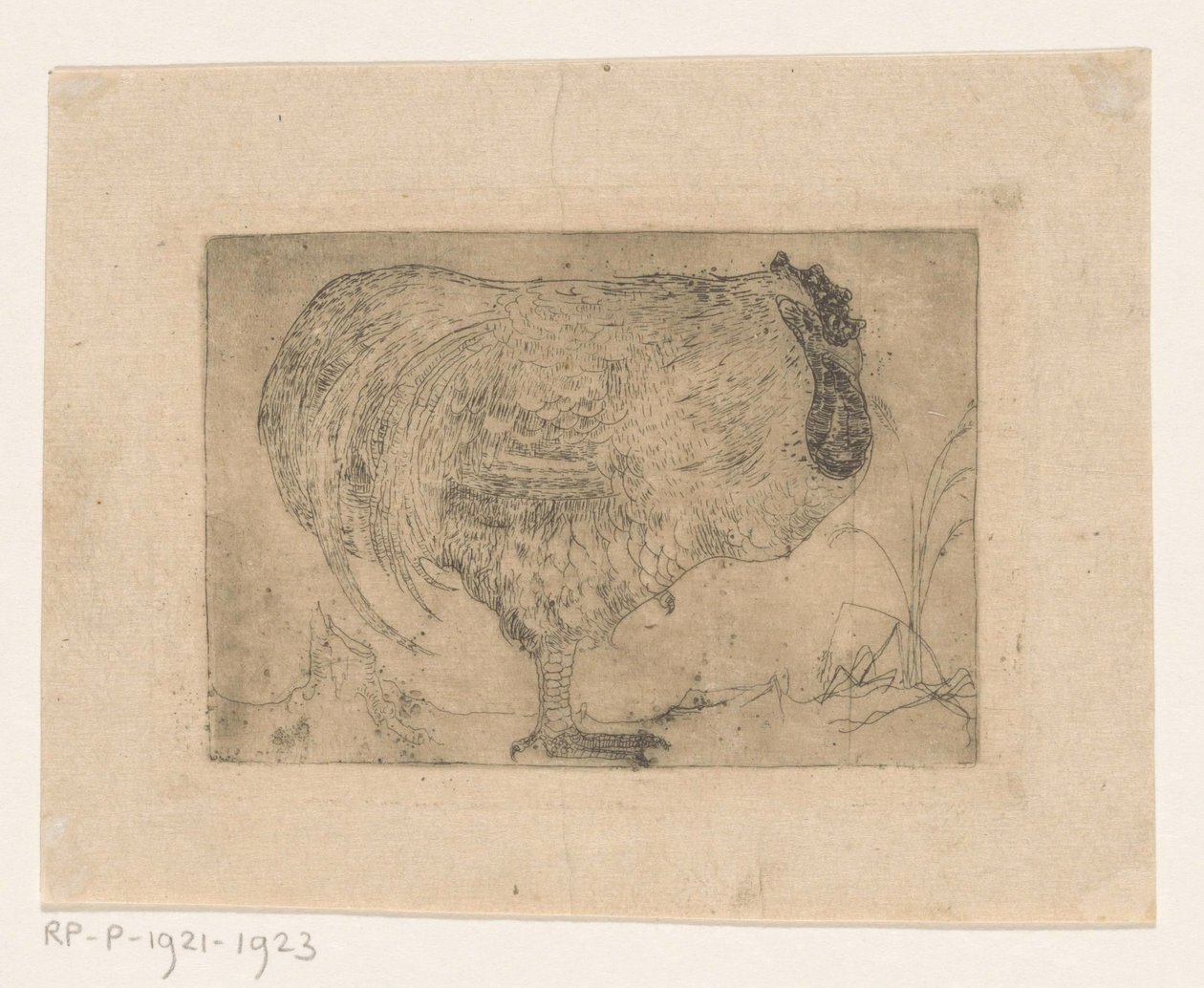 przyczajony kutas autorstwa Jan Mankes