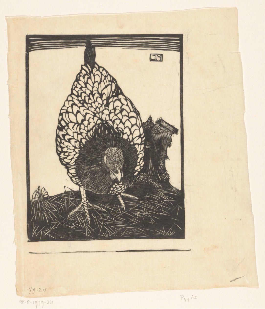 srebrny wyandotte autorstwa Jan Mankes