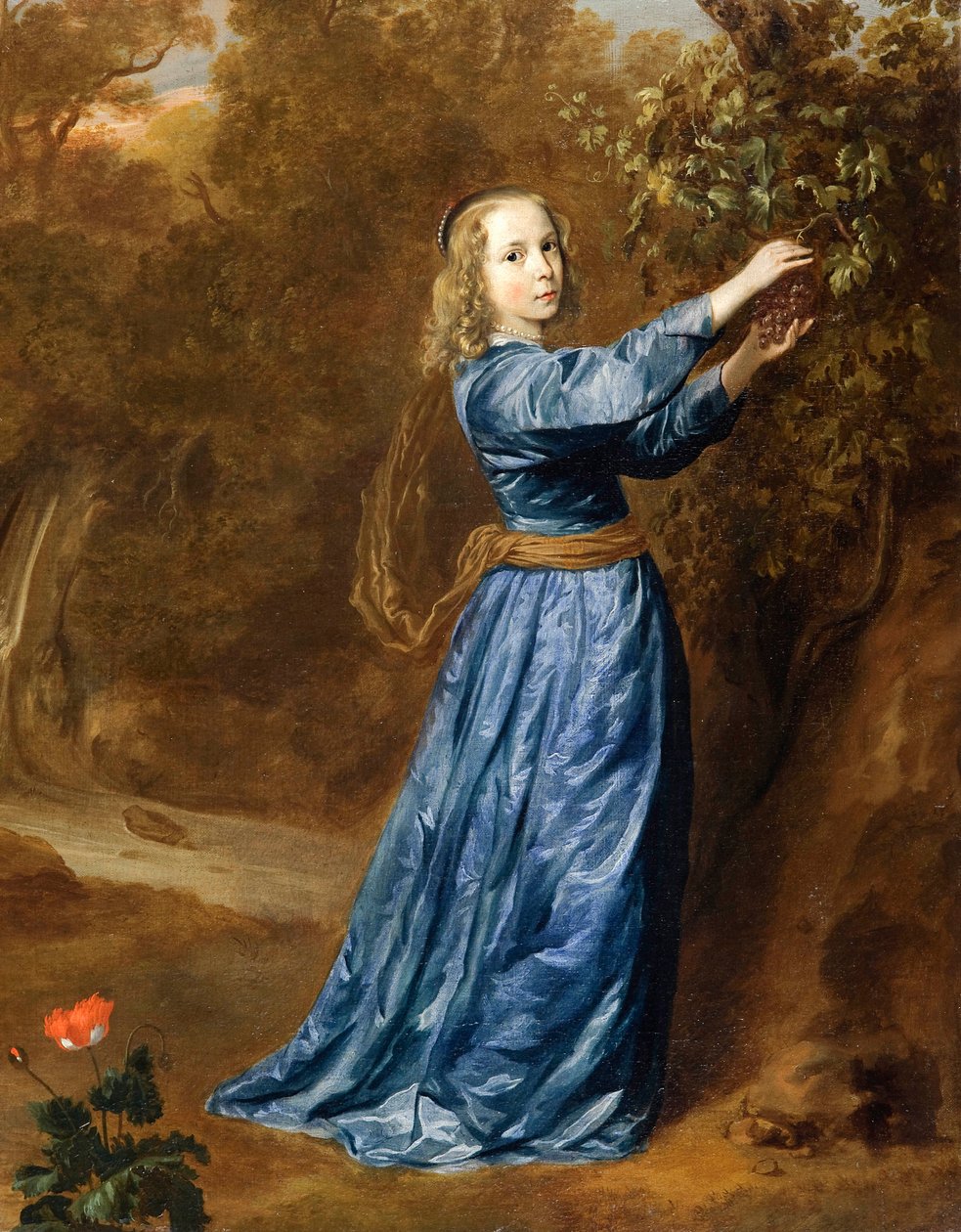 ""Portret dziewczyny zbierającej winogrona"" (Portret dziewczyny zbierającej winogrona) Obraz Jana (Johan, Johannes) Mytens (Mijtens) (ok. 1614-1670), - olej na płótnie wym. 50,2x40,5 cm Fundacja Kustodia autorstwa Jan Mytens