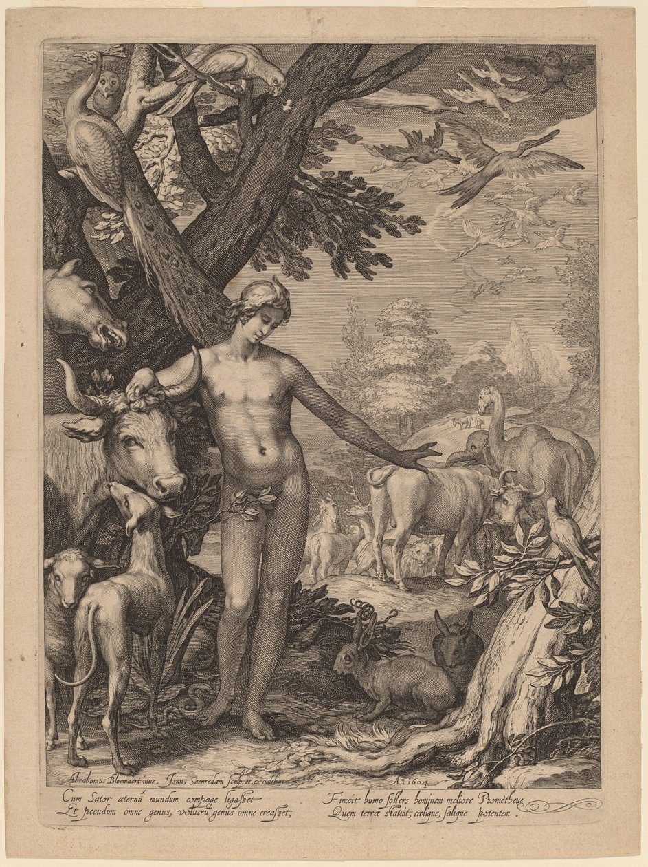 Adam Nazywający zwierzęta autorstwa Jan Pietersz Saenredam after Abraham Bloemaert