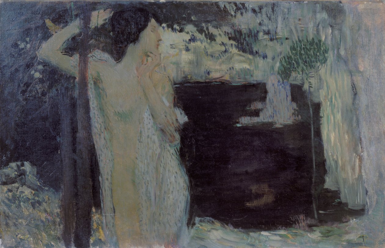 Kobieta nad Czarnym Jeziorem, 1904 autorstwa Jan Preisler