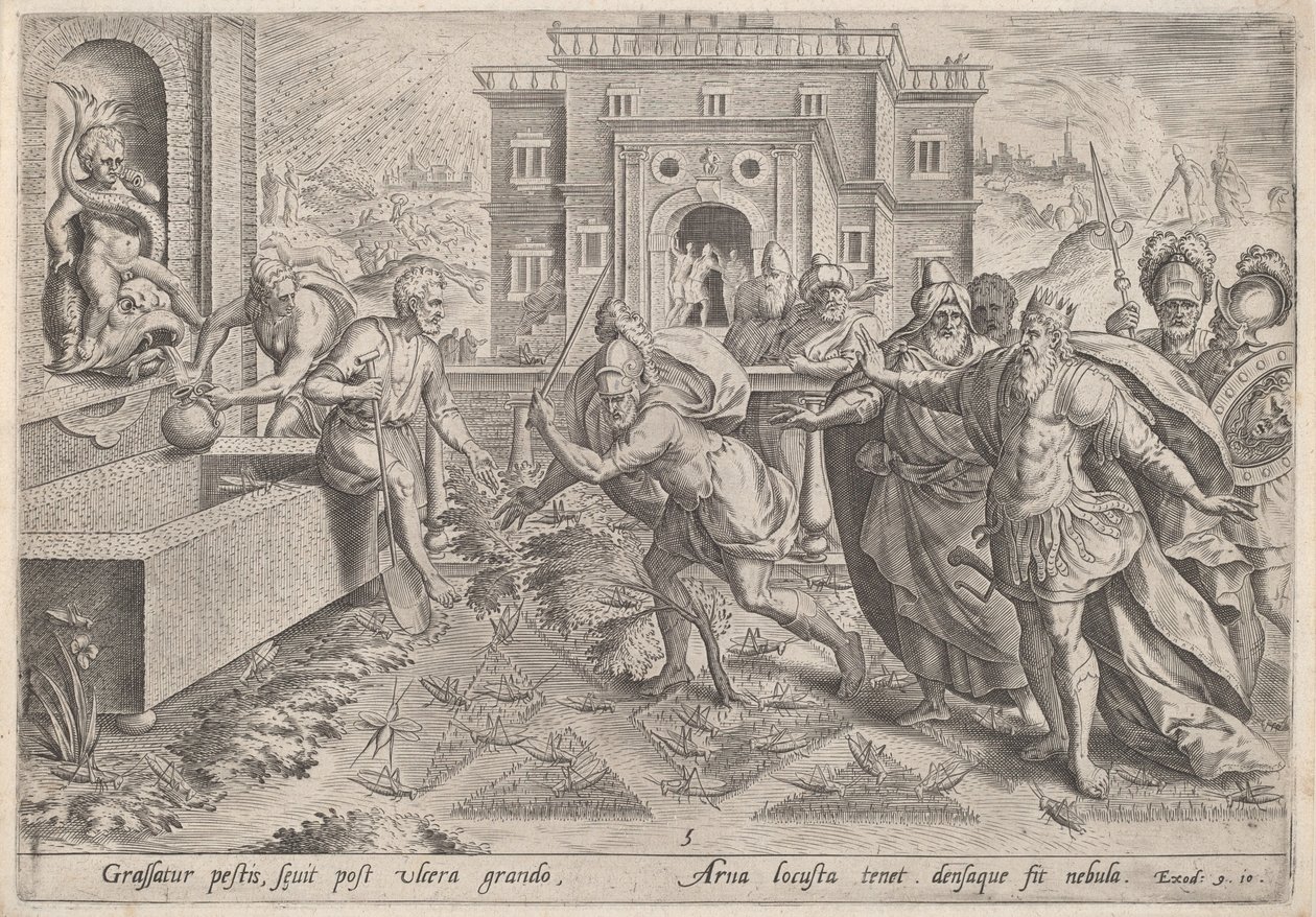 Plaga szarańczy autorstwa Jan Sadeler I, after Maarten van Cleef