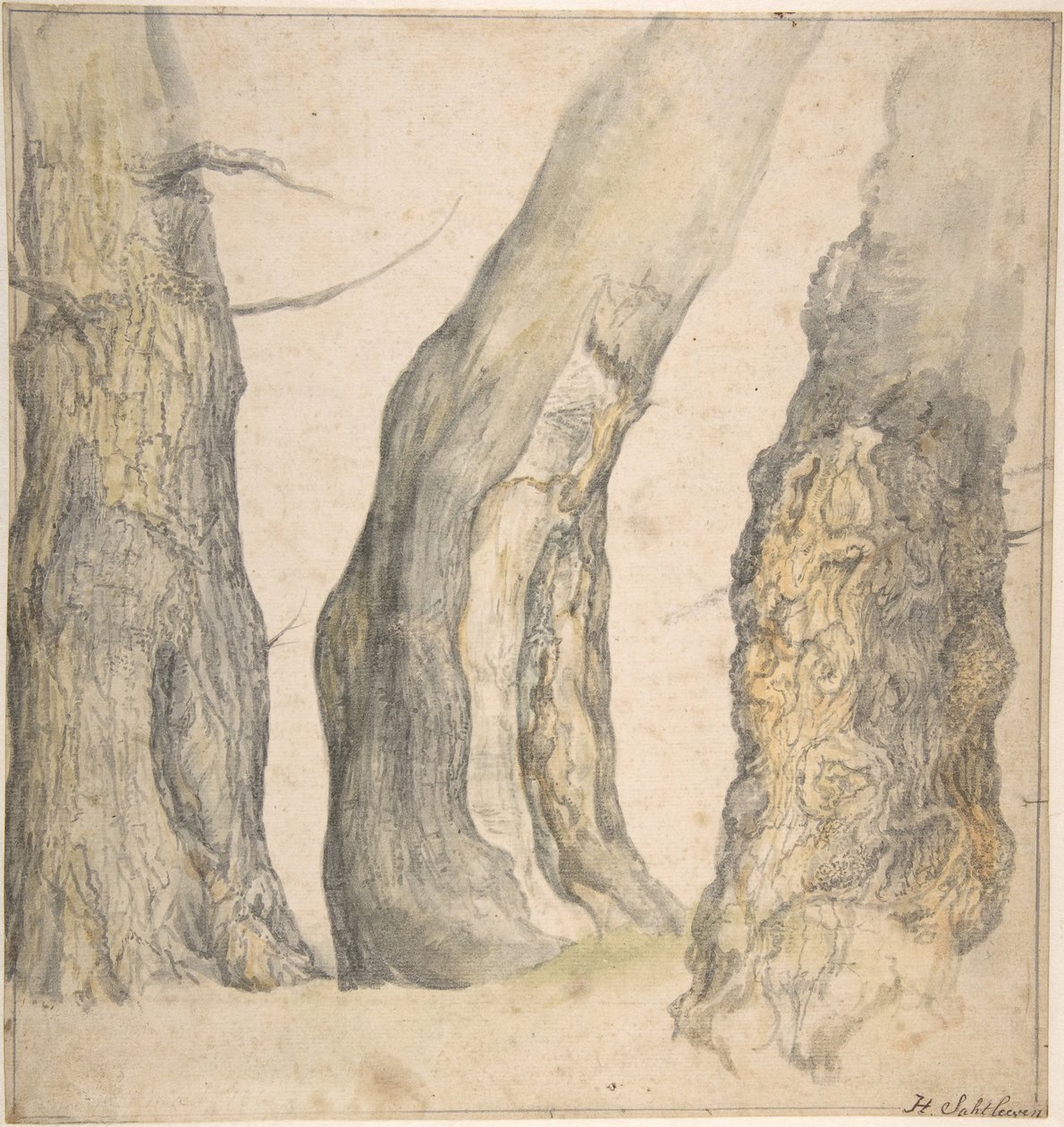 Studium trzech starych sękatych drzew, 1660. autorstwa Jan Siberechts