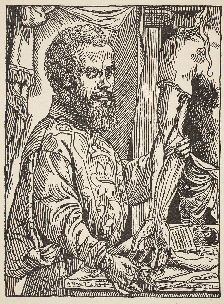 Andre Vesale, kopia Borisa Mestchersky