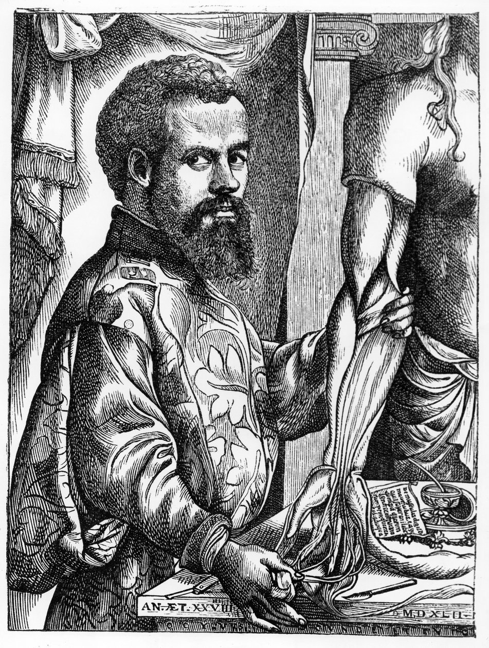 Portret Andreasa Vesaliusa (1514-64) z jego książki „De Humani Corporis Fabrica”, 1543, ilustracja z „Nauka i literatura średniowiecza i renesansu”, napisana i rytowana przez Pawła autorstwa Jan Stephen van Calcar