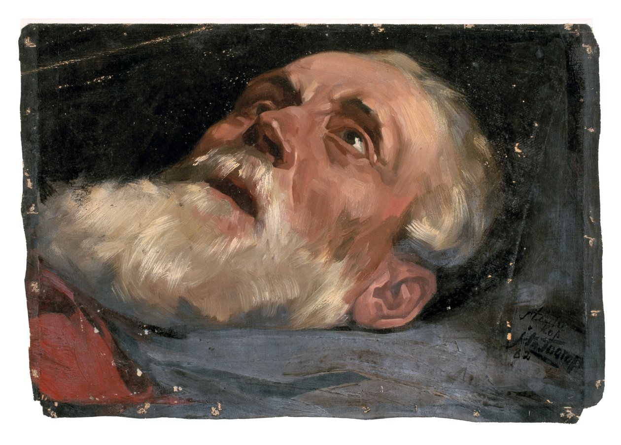 Głowa starca (studium) 1882 (olej na płótnie) autorstwa Jan Toorop