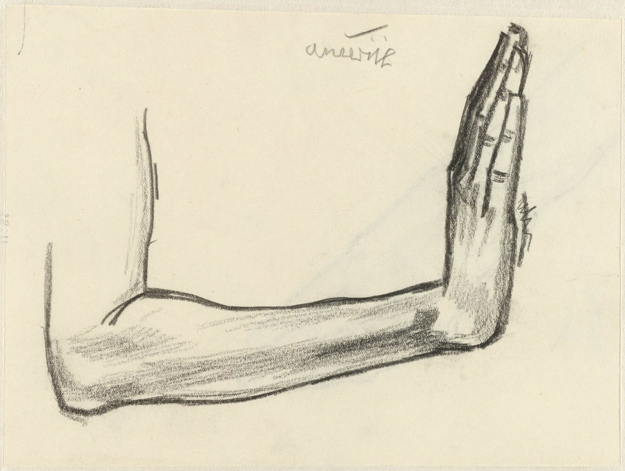 Badanie przedramienia autorstwa Jan Toorop