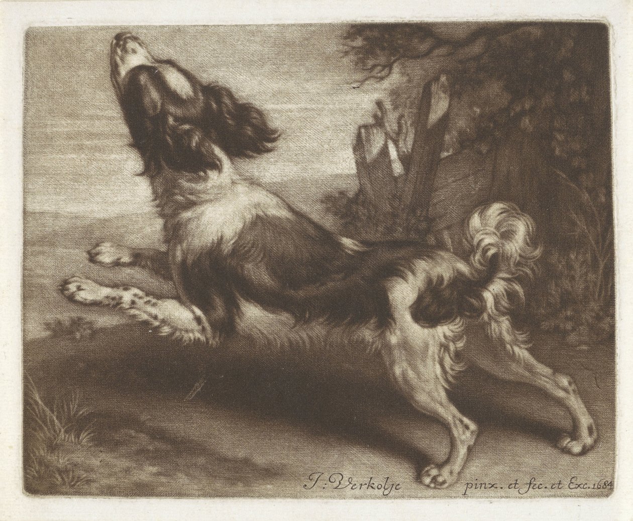 Biegnący pies, prawdopodobnie spaniel autorstwa Jan Verkolje (I)