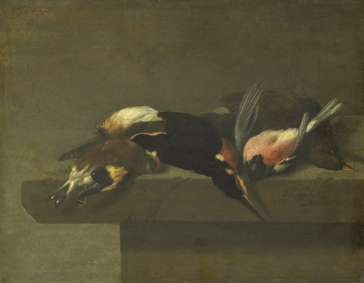 Martwe ptaki autorstwa Jan Vonck