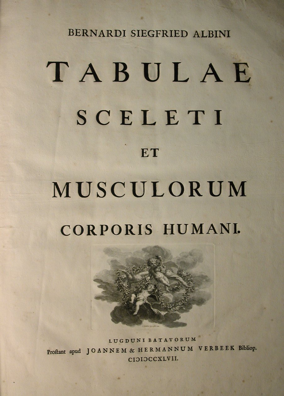 Albinus I, strona tytułowa, z książki „Mięśnie szkieletowe i mięśnie ludzkiego ciała” autorstwa Bernharda Siegfrieda Albinusa (1697-1770), opublikowanej przez J.undH. Verbeek, bibliop., Leiden, 1747 autorstwa Jan Wandelaar