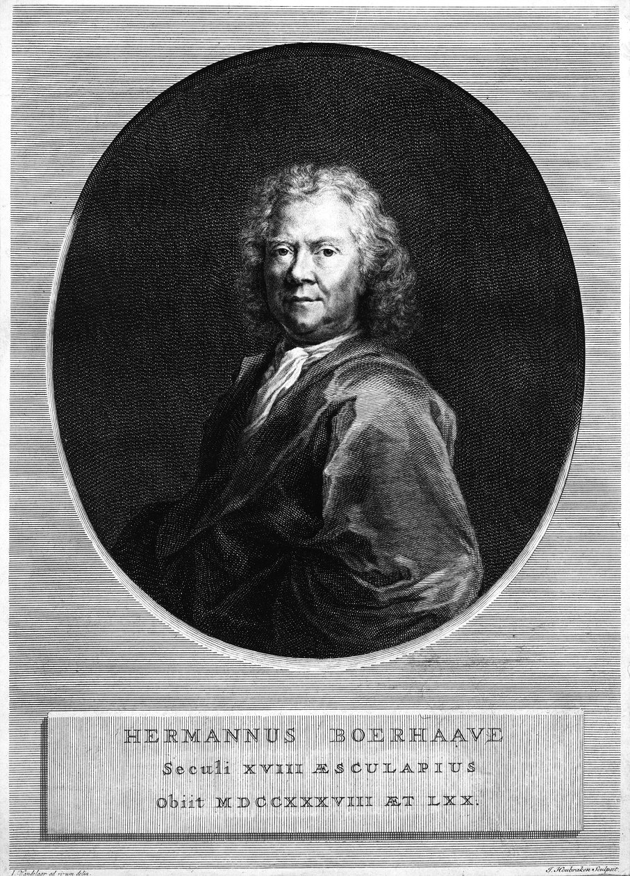 Herman Boerhaave, grawerowane przez Jacobusa Houbrakena autorstwa Jan Wandelaar