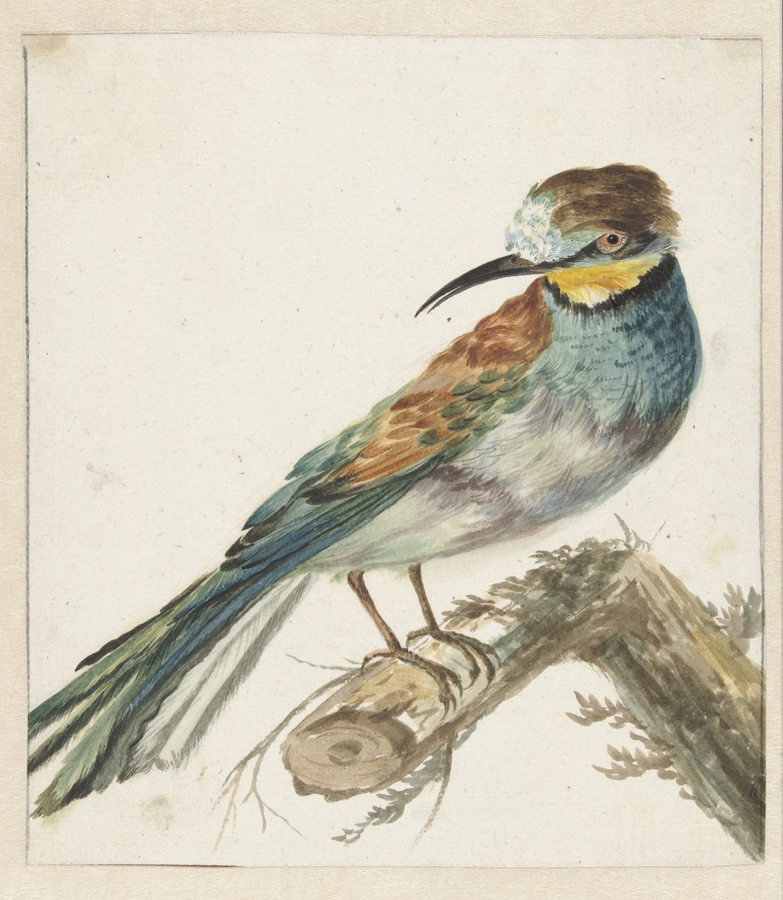 Vixenitter (apiaster Meropsa) autorstwa Jan Baptist Weenix