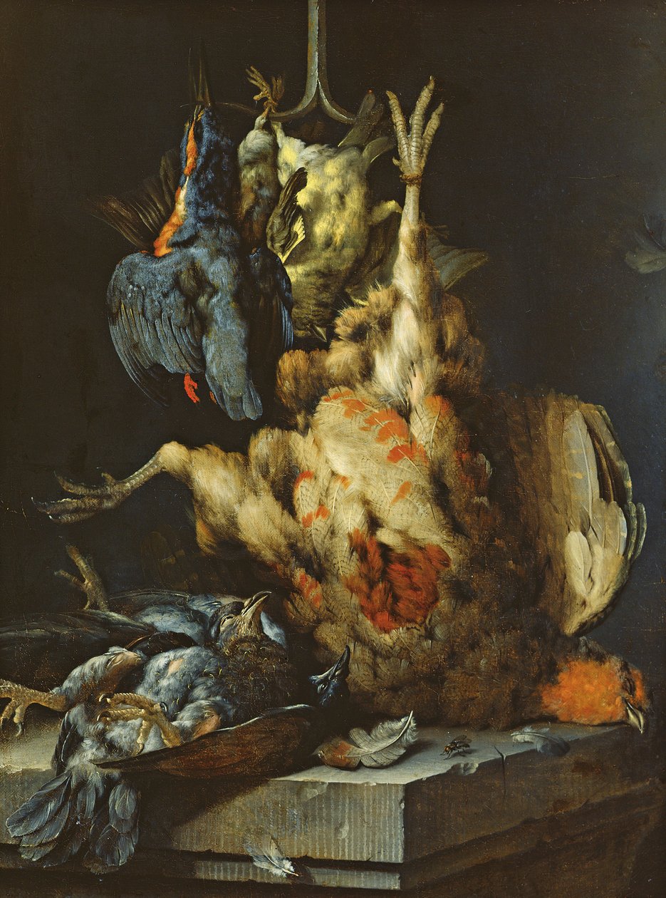 Martwa natura (olej na płótnie) autorstwa Jan Baptist Weenix