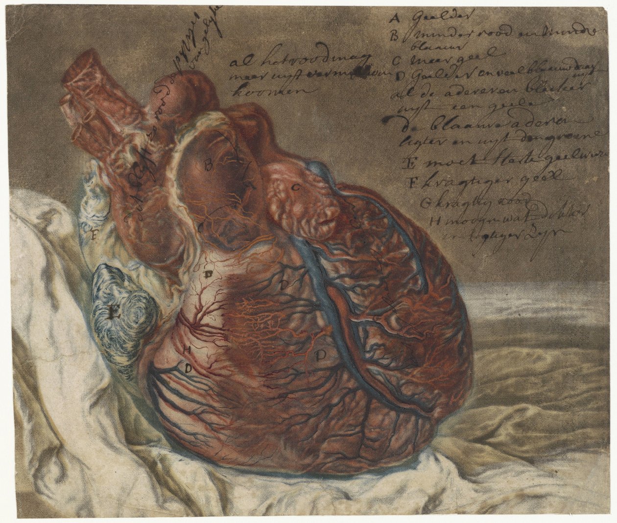 Odciski mózgu i serca Badanie anatomiczne ludzkiego serca autorstwa Jan l