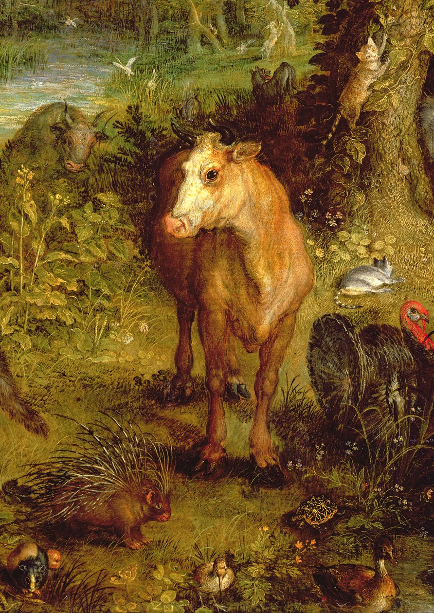 Ziemia lub ziemski raj, fragment krowy, jeżozwierza i innych zwierząt, 1607-08 olej na detalu miedzi z 93899 autorstwa Jan the Elder Brueghel