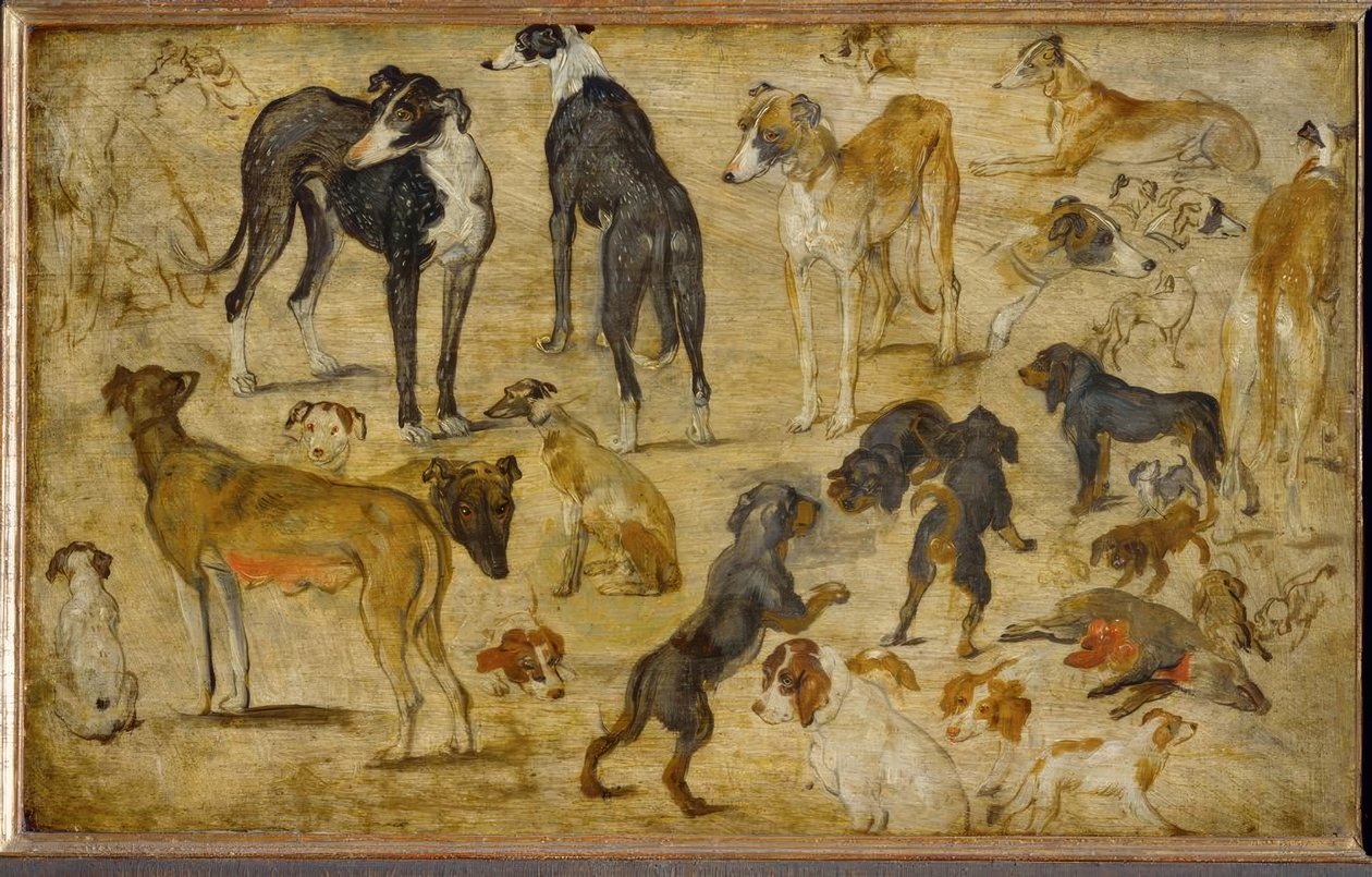 Badania na zwierzętach autorstwa Jan the Elder Brueghel