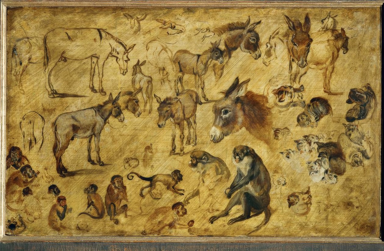 Studium poziomu autorstwa Jan the Elder Brueghel