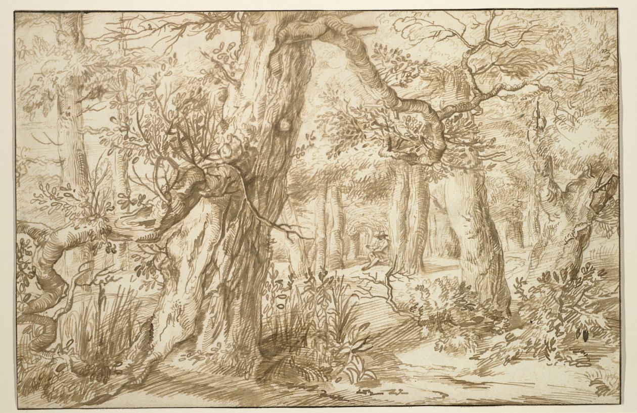 Wnętrze leśne z rysownikiem, ok. 1664 (brązowy tusz na antycznym papierze układanym) autorstwa Jan the Elder Lievens