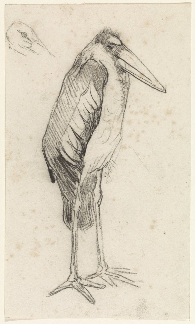 Marabut autorstwa Jan van Essen