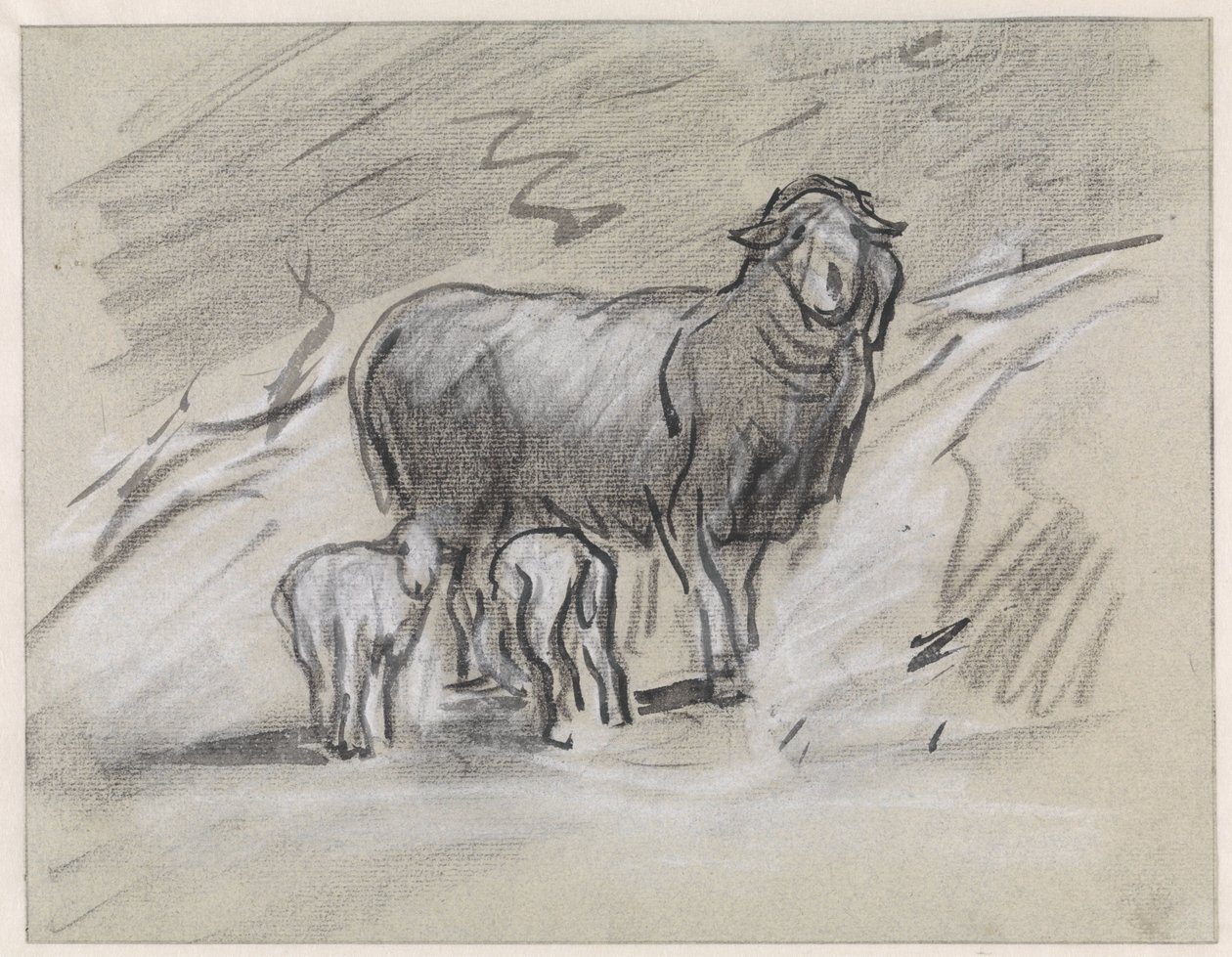 Owce z dwoma barankami autorstwa Jan van Essen