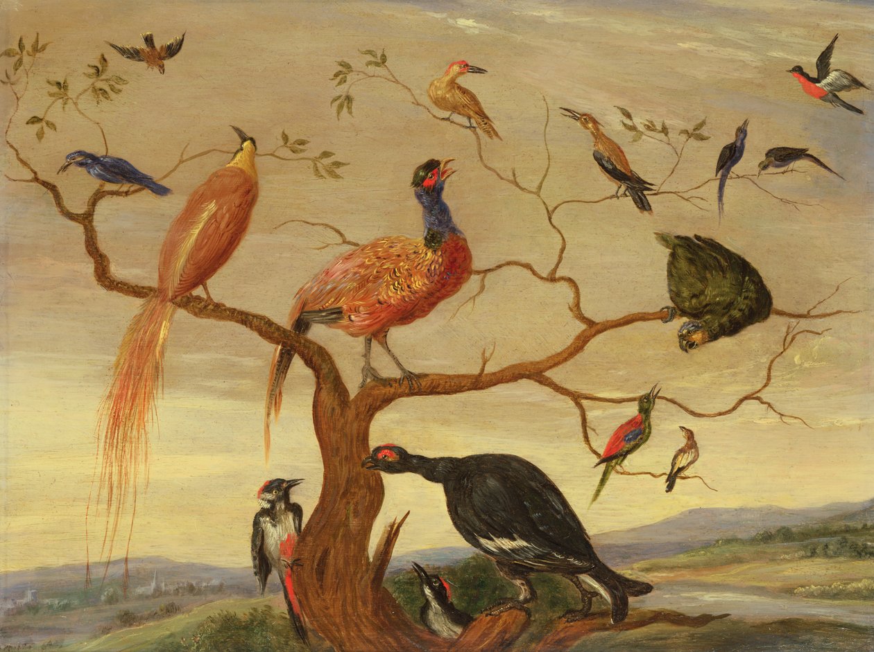 Koncert ptaków (olej na płycie miedzianej) autorstwa Jan van Kessel the Elder