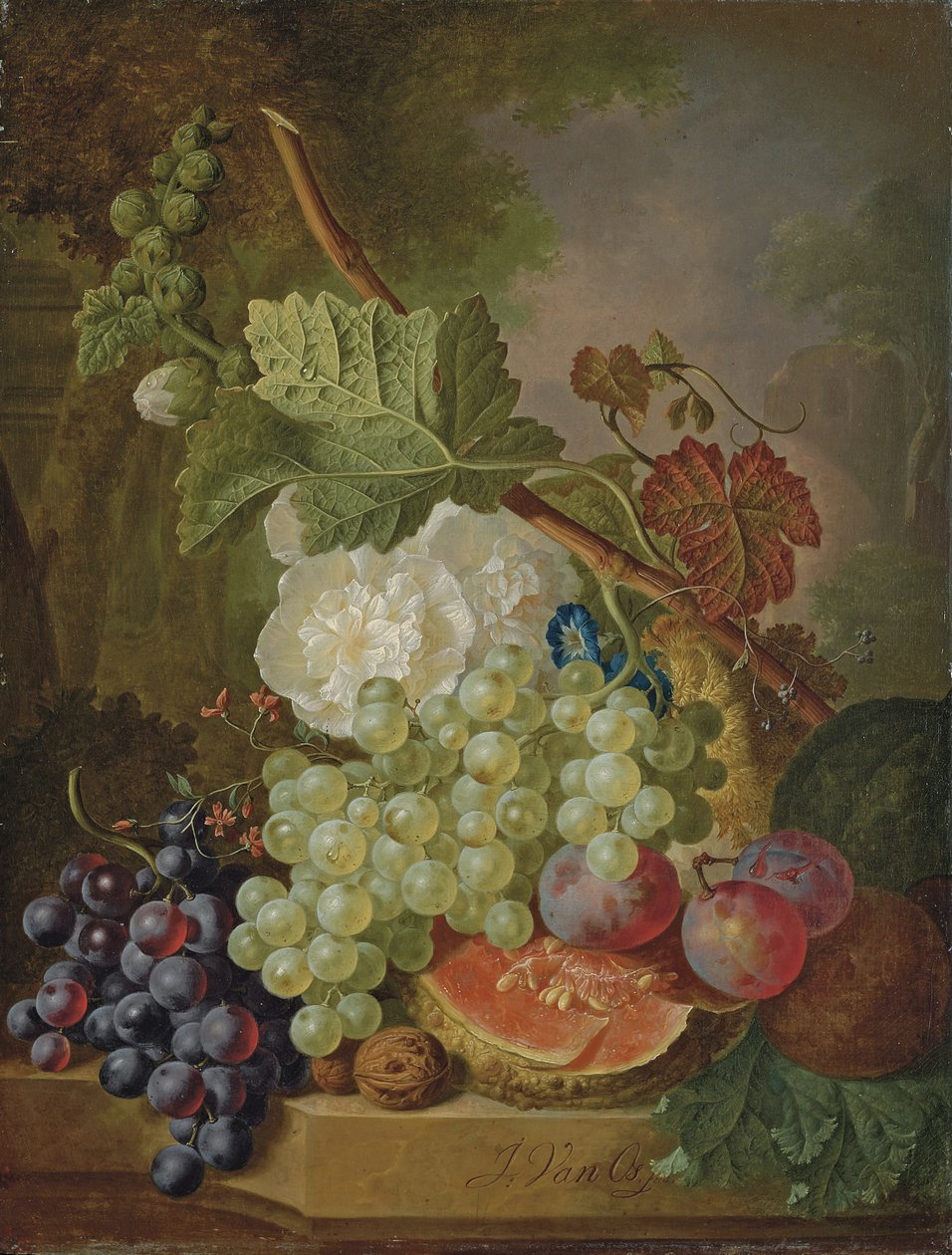 Kwiaty, winogrona, śliwki, orzechy włoskie i melon na kamiennej półce autorstwa Jan van Os