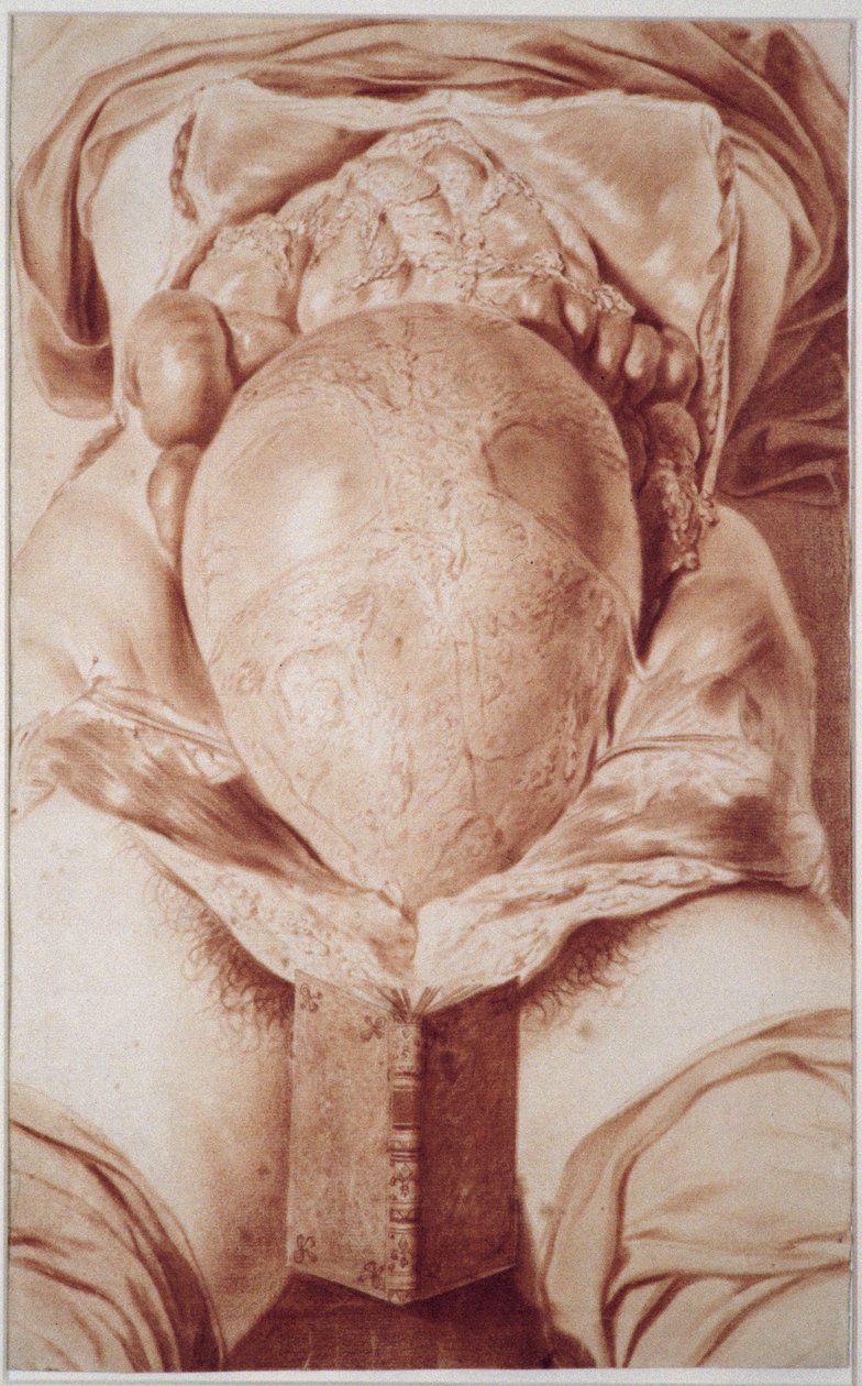 MS Hunter 658 Tabliczka XXVI Rysunek z Williama Huntera (1718-83) 